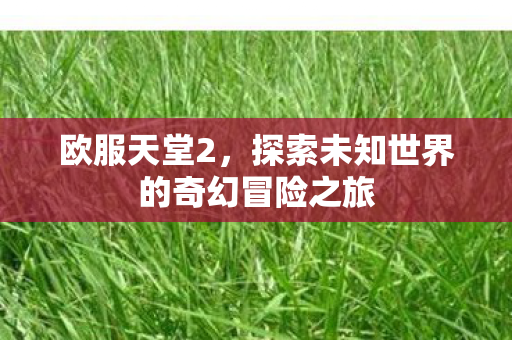 探索未知世界的奇幻冒险之旅图片
