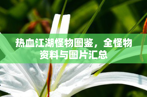 热血江湖怪物图鉴,全怪物资料与图片汇总 热血江湖怪物图鉴,全怪物资料与图片汇总