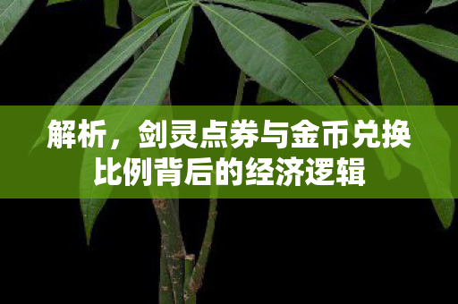 剑灵点券与金币兑换比例背后的经济逻辑图片