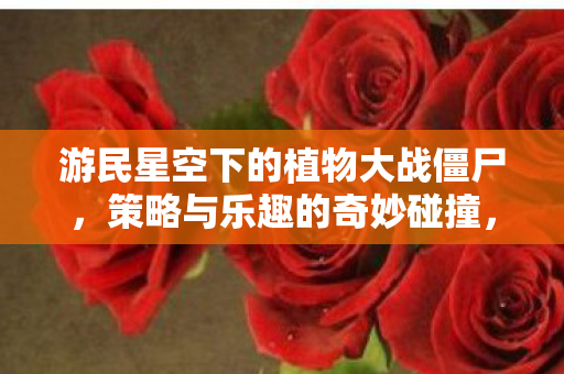 游民星空下的植物大战僵尸，策略与乐趣的奇妙碰撞，植物大战僵尸，游民星空下的策略与乐趣碰撞