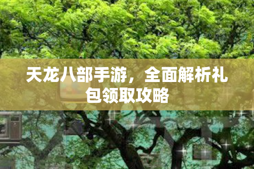 全面解析礼包领取攻略图片