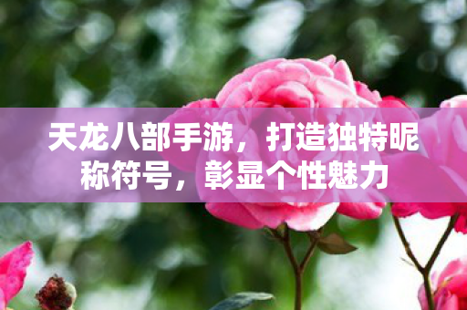 打造独特昵称符号图片