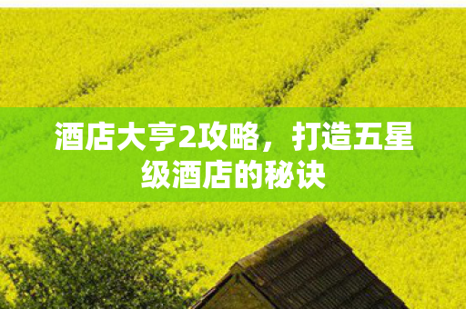 打造五星级酒店的秘诀图片