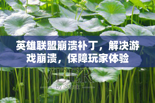 英雄联盟崩溃补丁图片