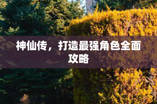 打造最强角色全面攻略图片