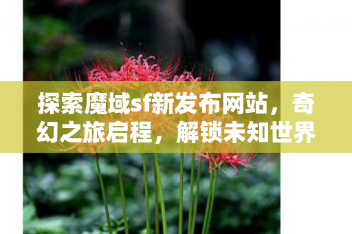探索魔域sf新发布网站图片