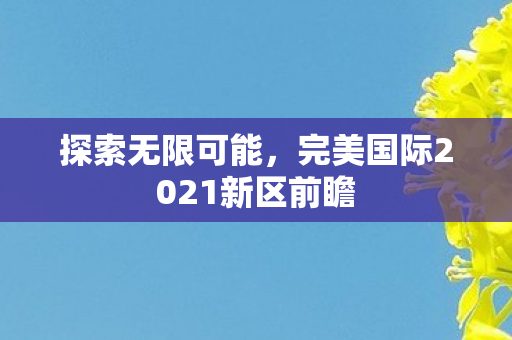 完美国际2021新区前瞻图片