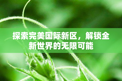 解锁全新世界的无限可能图片