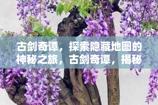 探索隐藏地图的神秘之旅图片