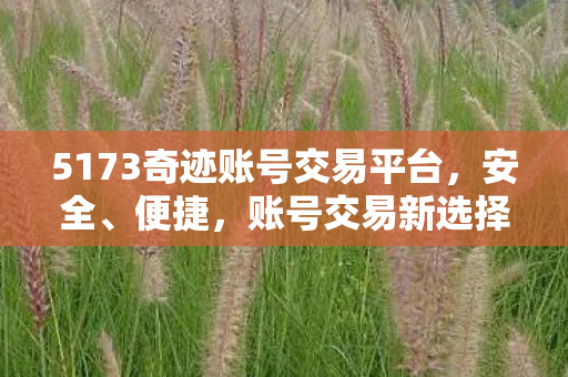 5173奇迹账号交易平台图片