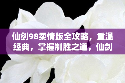 仙剑98柔情版全攻略图片
