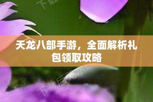 全面解析礼包领取攻略图片
