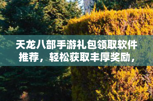 天龙八部手游礼包领取软件推荐图片