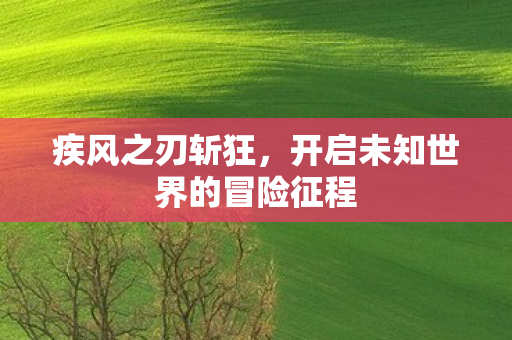 开启未知世界的冒险征程图片