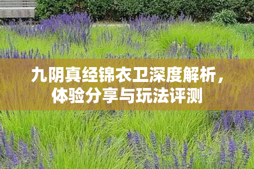 九阴真经锦衣卫深度解析图片