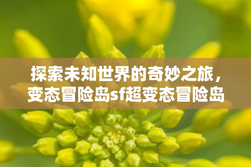 变态冒险岛sf超变态冒险岛私服图片