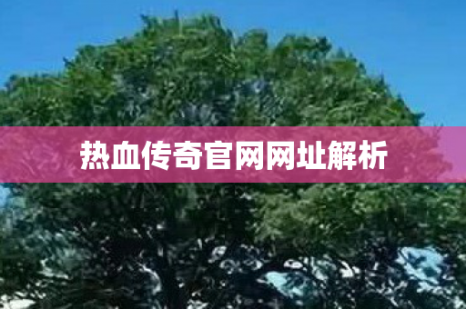 热血传奇官网网址解析图片