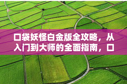 从入门到大师的全面指南图片