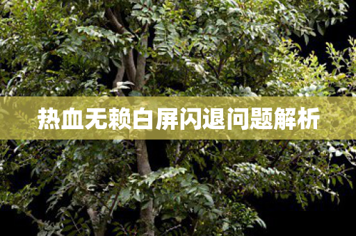 热血无赖白屏闪退问题解析图片