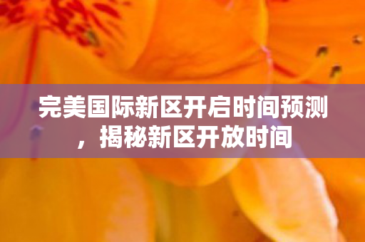 完美国际新区开启时间预测图片