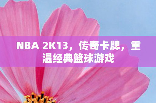 NBA 2K13图片
