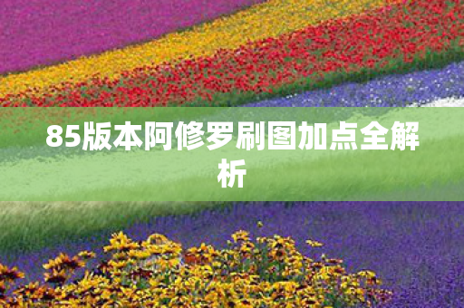 85版本阿修罗刷图加点全解析图片