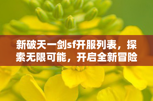 新破天一剑sf开服列表图片
