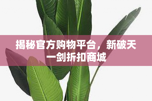 新破天一剑折扣商城图片