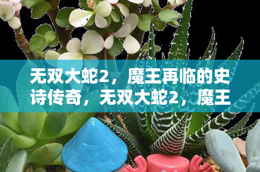 无双大蛇2,魔王再临的史诗传奇,无双大蛇2,魔王再临的史诗传奇 无双大蛇2,魔王再临的史诗传奇,无双大蛇2,魔王再临的史诗传奇
