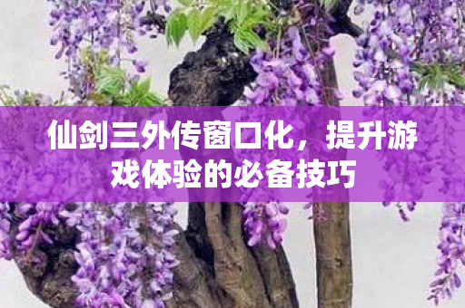 提升游戏体验的必备技巧图片