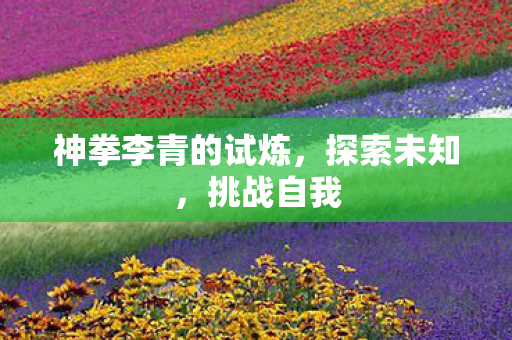 神拳李青的试炼图片