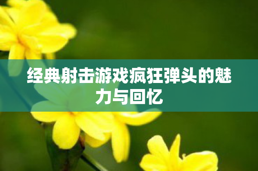 经典射击游戏疯狂弹头的魅力与回忆图片