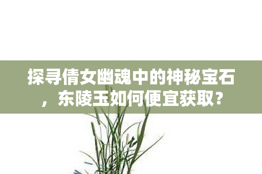 探寻倩女幽魂中的神秘宝石图片