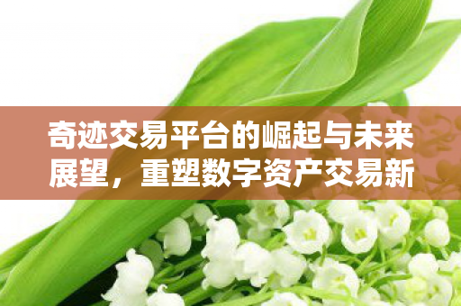 奇迹交易平台的崛起与未来展望图片