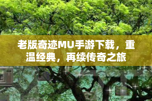老版奇迹MU手游下载图片