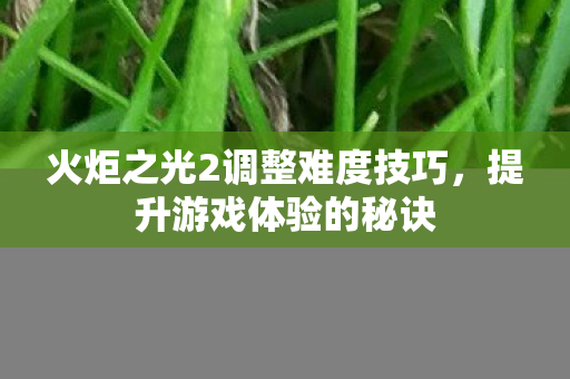 火炬之光2调整难度技巧图片