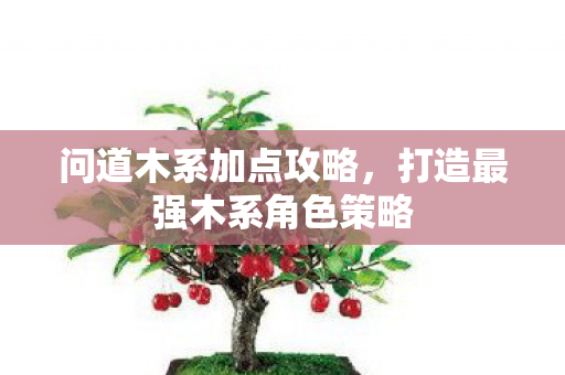 打造最强木系角色策略图片