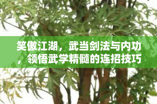 领悟武学精髓的连招技巧图片