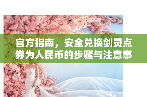 安全兑换剑灵点券为人民币的步骤与注意事项图片
