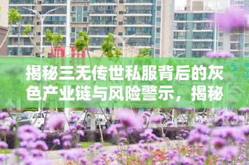 揭秘三无传世私服背后的灰色产业链与风险警示,揭秘私服背后的灰色产业链与风险 揭秘三无传世私服背后的灰色产业链与风险警示,揭秘私服背后的灰色产业链与风险