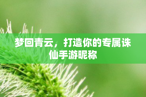 打造你的专属诛仙手游昵称图片