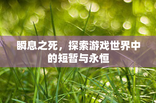 探索游戏世界中的短暂与永恒图片