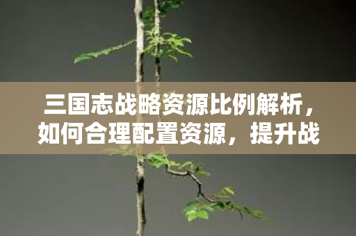 三国志战略资源比例解析图片