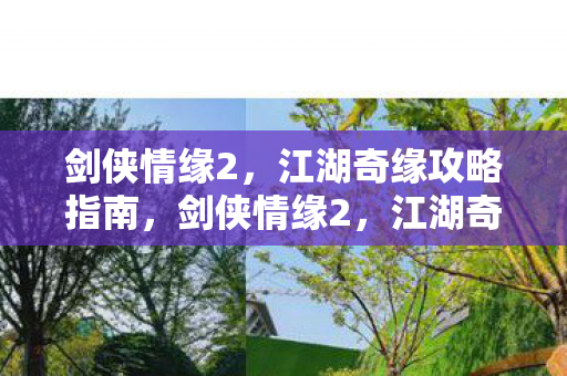江湖奇缘全面攻略指南图片
