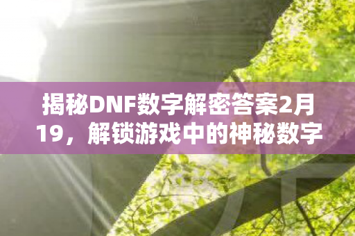 揭秘DNF数字解密答案2月19,解锁游戏中的神秘数字 揭秘DNF数字解密答案2月19,解锁游戏中的神秘数字