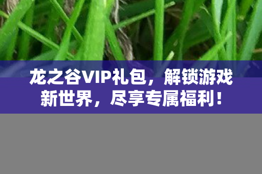龙之谷VIP礼包图片
