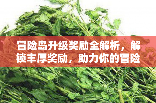 冒险岛升级奖励全解析图片