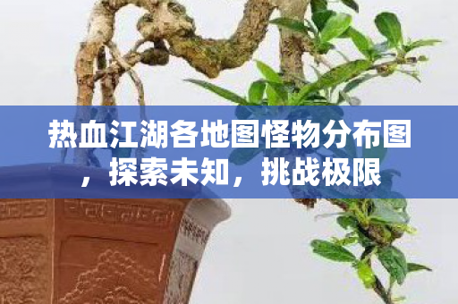 热血江湖各地图怪物分布图图片