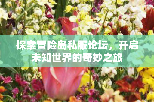 开启未知世界的奇妙之旅图片