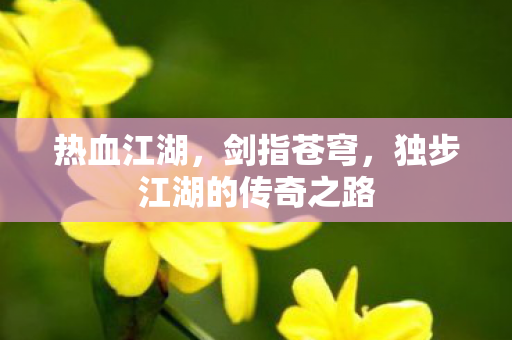 独步江湖的传奇之路图片